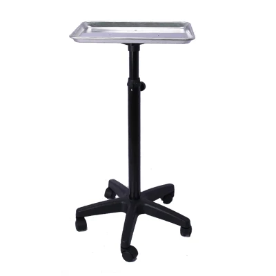 Professional Salon Hair Instrument Tray Rolling Trolley Cart Mobile Storage Tray