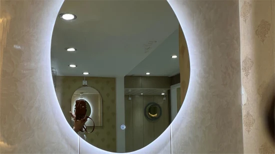 Factory Wholesale Customized Size Round Shape Wall Hung Makeup Mirror with Acrylic Lampshade Bathroom Vanity LED Smart Mirror